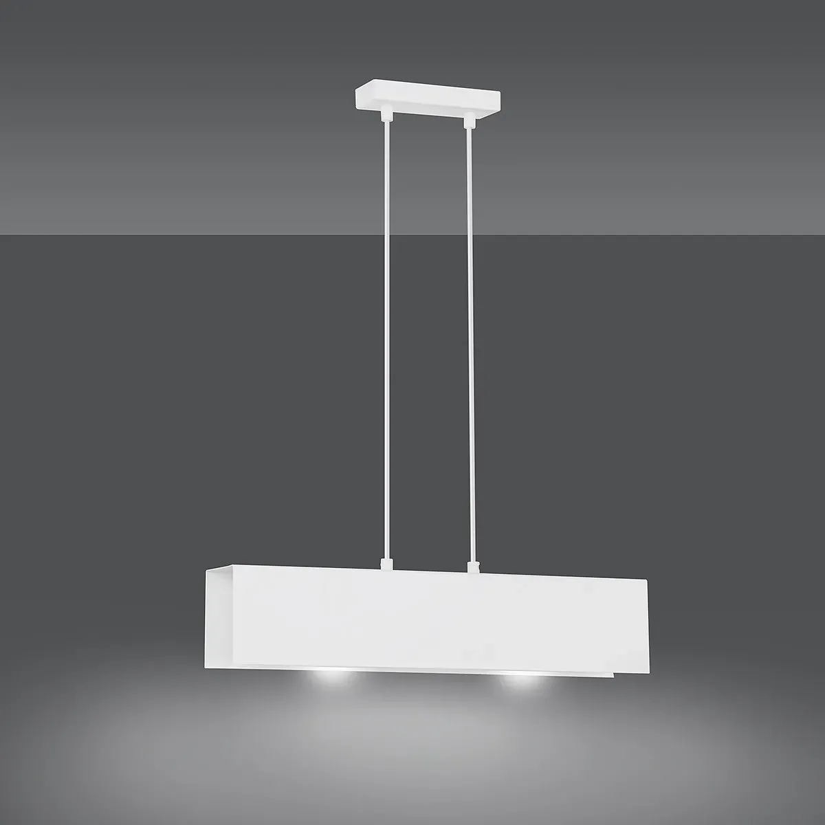 Lampa wisząca GENOTR 2 WHITE EMIBIG