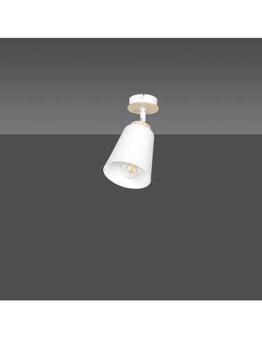 Lampa sufitowa ATLAS 1 WHITE EMIBIG