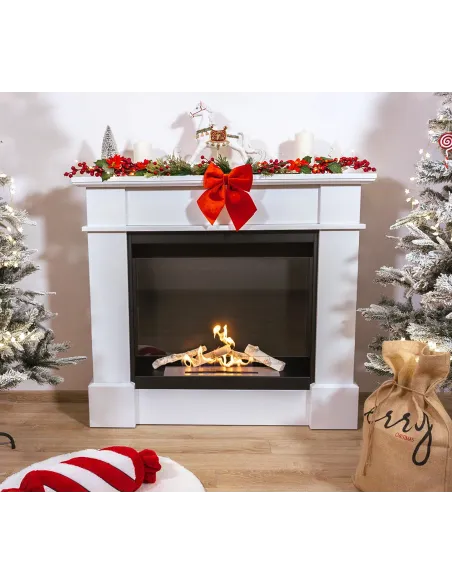 Biokominek portalowy PULA z szybą