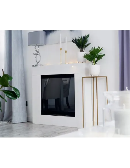 Biokominek portalowy ASNE