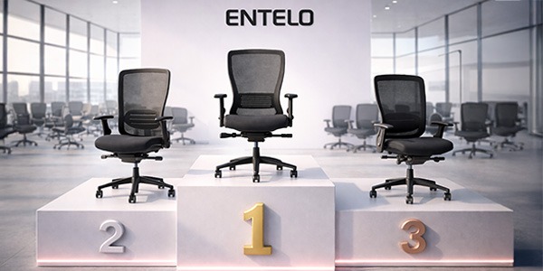 Ranking krzeseł Entelo: dobre krzesła biurowe i fotele – funkcjonalne krzesło do biurka